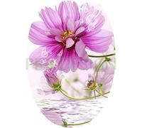 Sticker Autocollant Abattant WC Fleurs 35x42cm SAWC0061