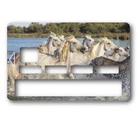 Sticker Autocollant Carte Bancaire - Cheval Camargue - Démarquez-vous en personnalisant votre Carte Bancaire à petit prix - Fabrication Française