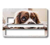 Sticker Autocollant Carte Bancaire Recto - Chien COCKER - COPPIA - Démarquez-vous en personnalisant votre Carte Bancaire à petit prix - Fabrication Française (Format US) (Format Europe) (Format EU)