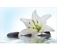 Sticker Autocollant Mural Galets Fleur - SRPA0002 (40x25cm)