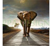 Sticker Boite aux lettres Elephant 30X30cm SABL028