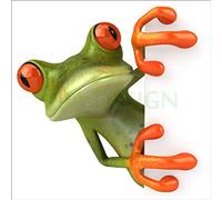 Sticker Boite aux lettres Grenouille 30X30cm SABAL0076 (1 sticker boite aux lettres)