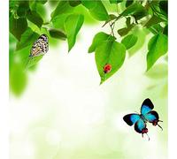 Sticker Boite aux lettres Nature Papillons 30X30cm - SABAL0131 (1 sticker boite aux lettres)