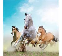 Sticker boites aux Lettres déco Chevaux 30x30cm