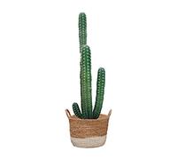 Sticker cactus