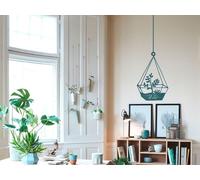 Sticker Cactus Suspendu - Nombreuses tailles et couleurs disponibles