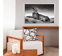 Sticker cadre photo La lionne