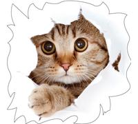Sticker Chat pour la valise