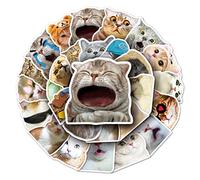 Sticker chat stickers aesthetic stickers moto sticker chat autocollant meme gommettes autocollant velo casque moto gommettes autocollantes meme sticker