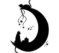 Sticker chats sur la lune avec les étoiles