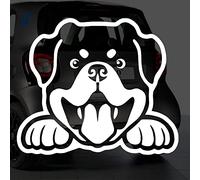 Sticker chien à bord pour voiture Saint Bernard 20 cm Blanc - Anakiss