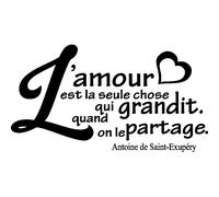Sticker citation amour l'amour grandit - Antoine de Saint-Exupéry