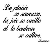Sticker citation le plaisir, la joie, le bonheur - Bouddha