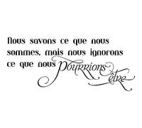 Sticker citation Nous ignorons ce que nous pourrions être ...