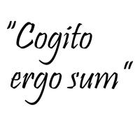 Sticker Cogito ergo sum
