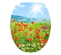 Sticker Coquelicots vallée