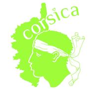 Sticker Corse, Stickers Auto Corsica, Autocollant Tete de Maure, Vinyle haute performance pour Voiture (vert lime, 21 x 24 cm)
