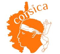 Sticker Corse, Stickers Auto Corsica, Autocollant Tete de Maure, Vinyle haute performance pour Voiture (21 x 24 cm, mandarine)