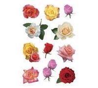 Sticker DECOR 'Boutons de rose multicolores'