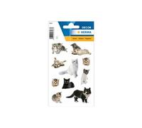 Sticker DECOR 'photos de chats'