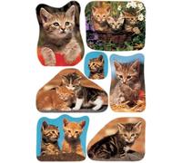 Herma Sticker déco « Photos de chat »