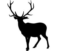 Sticker Silhouette chameau sauvage