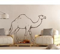 Sticker Dromadaire - Nombreuses tailles et couleurs disponibles