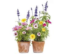 Sticker Fenêtre, Autocollants Décoratifs, 31cm x 31cm, Printemps