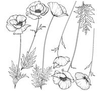 Sticker fleurs coquelicots