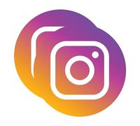 Sticker Gold - Lot de 2 autocollants Instagram avec icônes rondes - 3 options de taille - Pour réseaux sociaux, travail, van, magasin, bureau, panneau graphique, publicité (8 cm)