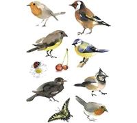 Sticker - HERMA - oiseaux aquarelle - papier - lot 3x10 - multicolore