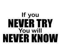 Sticker If you never try you will never know