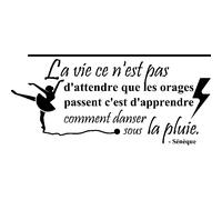 Sticker La vie - Sénèque