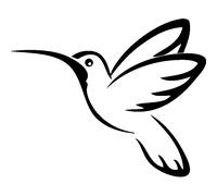 Sticker Le colibri en plein en vol