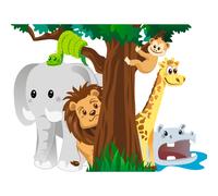 Sticker Les animaux de la jungle jouant à cache cache