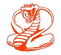 Sticker logo Serpent Adhésif Autocollant - Plusieurs coloris disponibles Orange 20 x 20