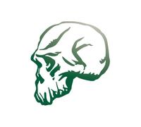 Sticker Logo Skull Tête De Mort 3 Adhésif Autocollant - Plusieurs Coloris Vert Réfléchissant 5.5 X 6