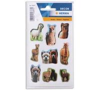 Sticker MAGIC Suricates, papier