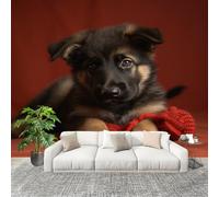 Sticker Mural 3D Papier Peint Panoramique Animal Berger Allemand Gros Plan Peler Et Coller Fresque Murale 200x140 cm Rouge Papier Peint Photo Créatif enfants DIY Salon intérieure Bureau Crèche