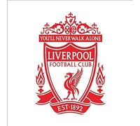 Sticker Mural Art Sticker Mural 3D Liverpool Auto-Adhésif Football Club 58X85Cm