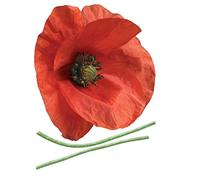 Sticker Mural - Coquelicots - 2 Planches 34 X 48 CM - Hauteur DE 55 A 70 CM