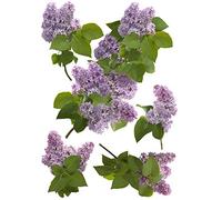 Plage 152753 Sticker Mural - Lilas, 1 Planche, 48 x 68 cm