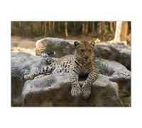 Sticker mural décoratif Motif léopard n°H4417M_NS1G 70 x 50 cm