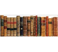 sticker tete de lit adhésive - livres anciens63 x 160cm