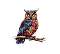 Sticker mural Motif chouette colorée Grand autocollant décoratif 55 cm x 55 cm