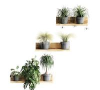 Sticker Mural Plante Tropicale Feuille de Palmier Autocollant Mural Verte 3D Stickers Muraux Natur Décoration De Salon, PVC Stickers Muraux Amovibles en Vinyle pour Chambre à Coucher Salon Bureau (B)