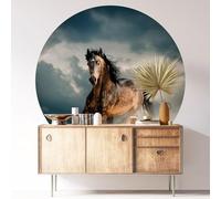 Sticker Mural Rond/Cercle - Cheval 3617681459521 - Adhésif Mat - Diamètre 30 cm