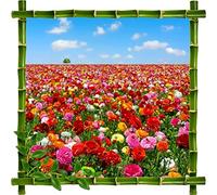 Sticker Mural Trompe l'oeil déco bambous Fleurs Pierre 70x70cm