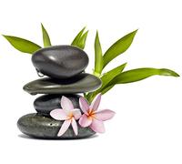 Sticker Mural Zen Galets et Fleurs - Décoration Murale Autocollante - Style Nature & Spa - Idéal pour Salle de Bain, Salon, Chambre, Massage, Bien-Être 30x20cm