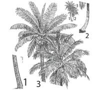 Sticker nature tropicale palmier vintage